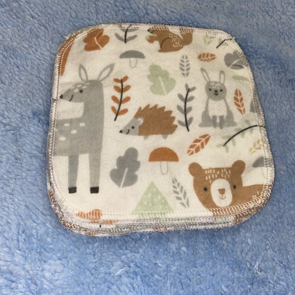 Cloth wipes 10 pack